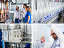 Prodalcom Story - The Year of Modernization and Investments