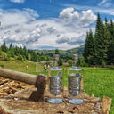 Ștefan cel Mare Moment: Two bottles of vodka on a wooden log with a scenic background of trees and open field.